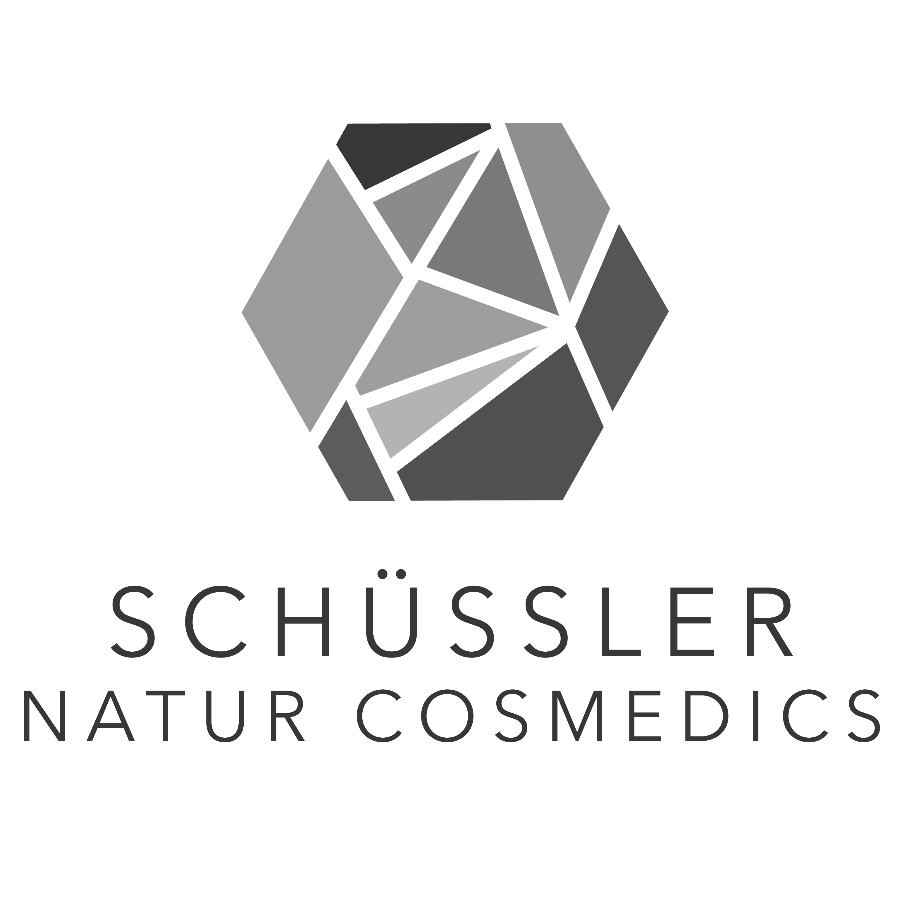 Schüssler NaturcosMEDics